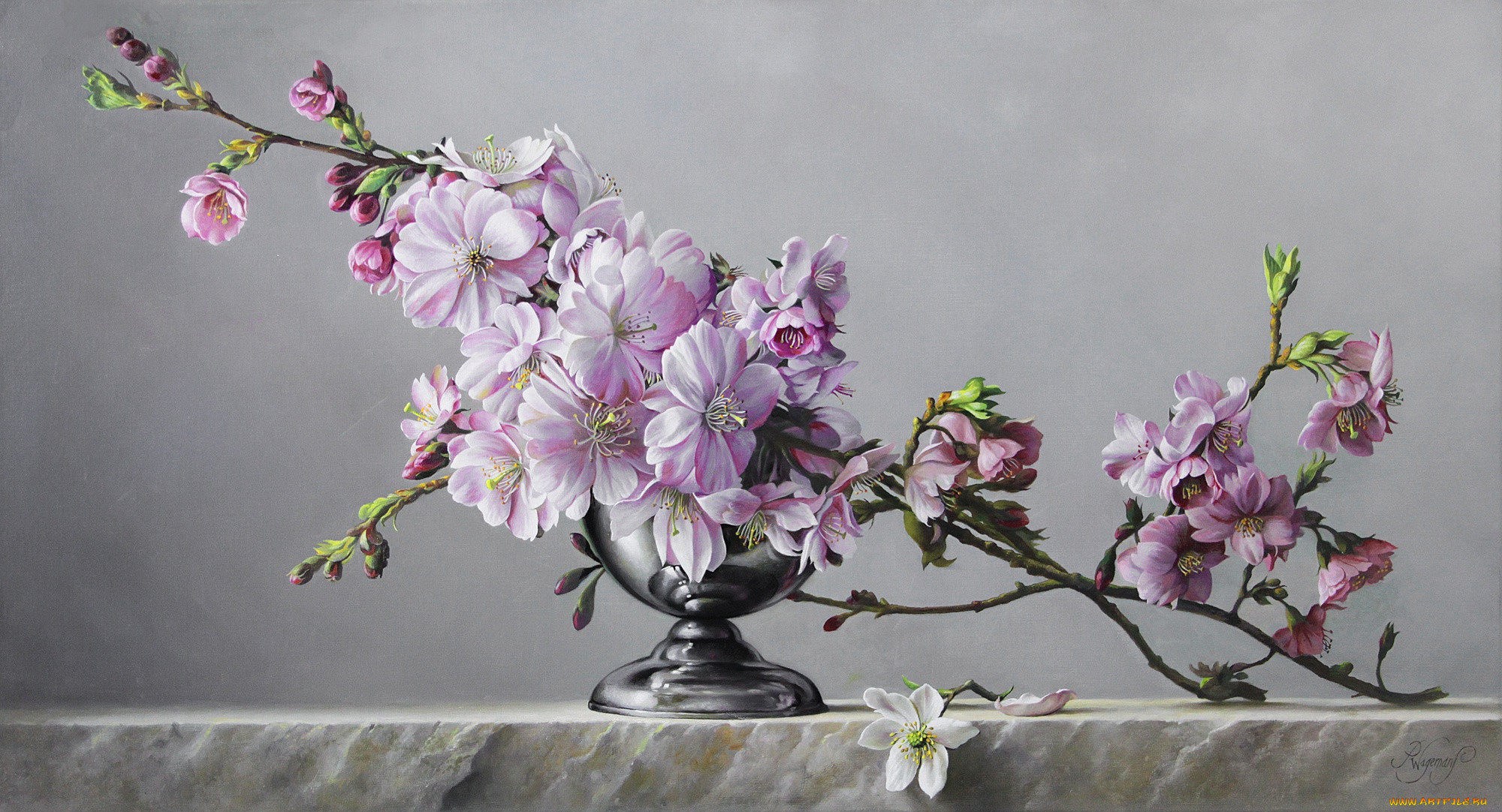 , pieter wagemans, pieter, wagemans
